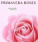 Primavera Roses Webshop